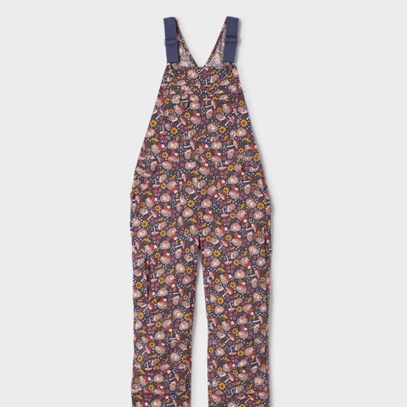 Hedgehog Overalls! Like new, 2x - Picture 1 of 1